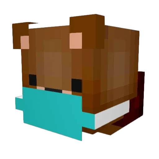 Barnibaer Minecraft avatar head, 3D render