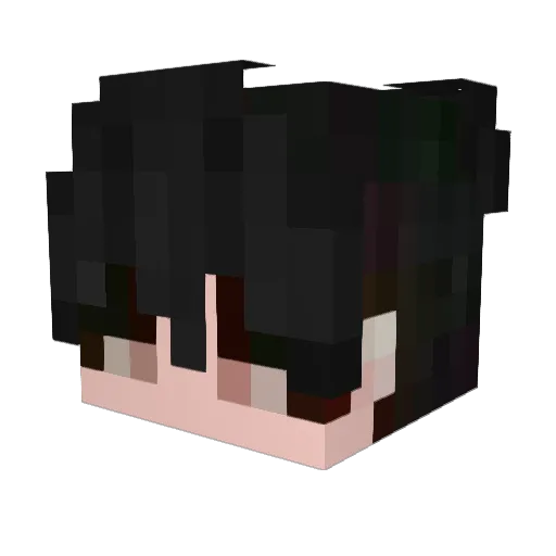 Barnisu Minecraft avatar head, 3D render