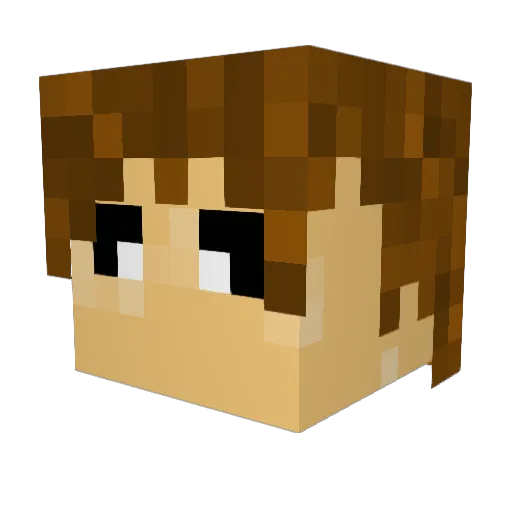 Barnspelaren Minecraft avatar head, 3D render