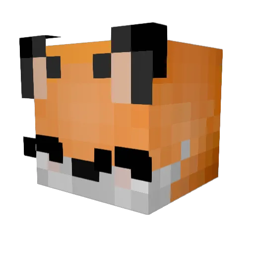 Barnusida Minecraft avatar head, 3D render