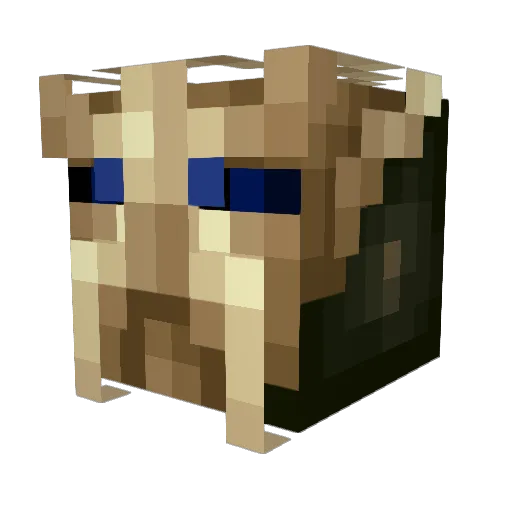 BaronBlotto Minecraft avatar head, 3D render