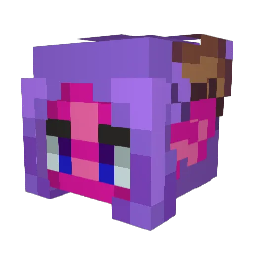 Baroness_Echo Minecraft avatar head, 3D render