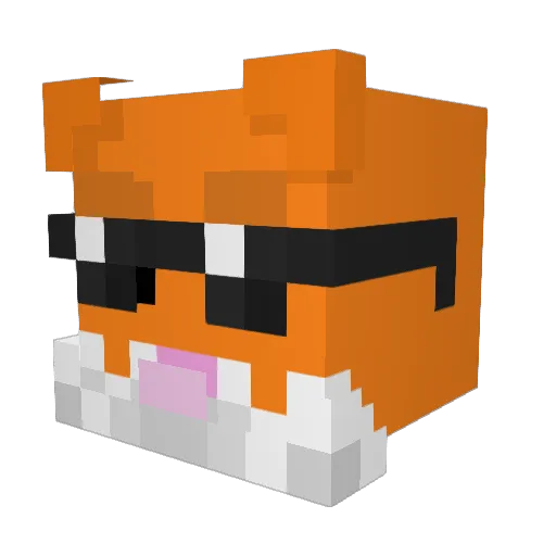 Barov01 Minecraft avatar head, 3D render