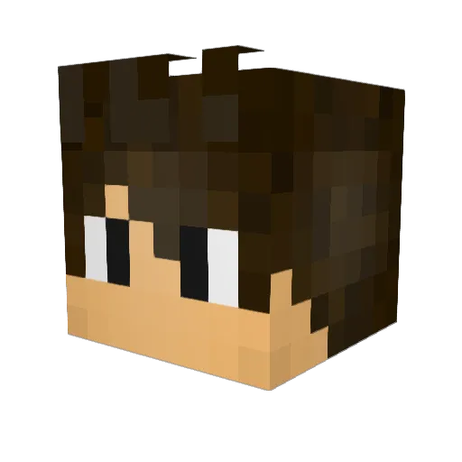 Barr0ca Minecraft avatar head, 3D render