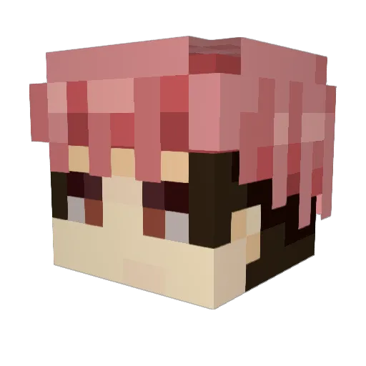 Barracuda661 Minecraft avatar head, 3D render