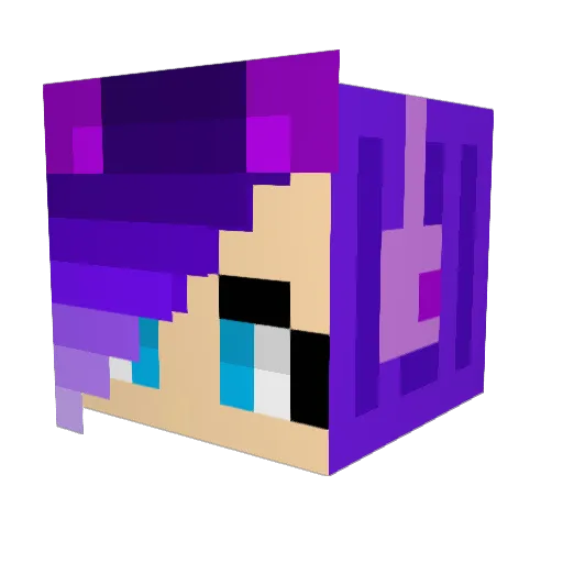 Barreboii Minecraft avatar head, 3D render