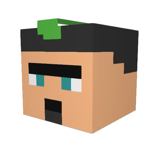 BarrelMaster Minecraft avatar head, 3D render
