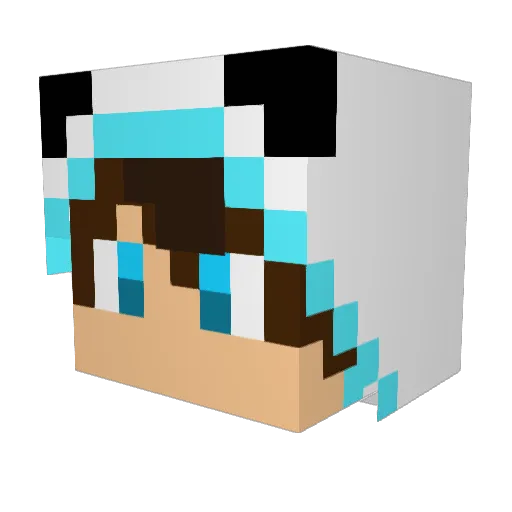 BarrelOfRum Minecraft avatar head, 3D render