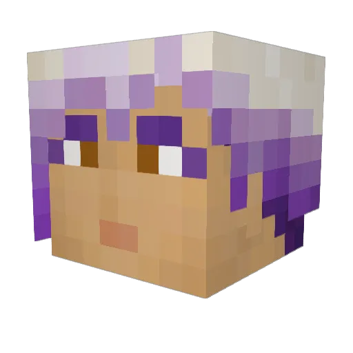 BarrelRider94 Minecraft avatar head, 3D render