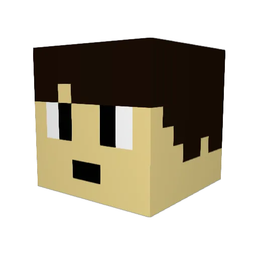 BarrelStorm7927 Minecraft avatar head, 3D render
