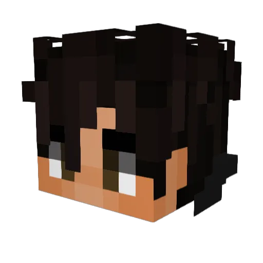 Barreman123 Minecraft avatar head, 3D render