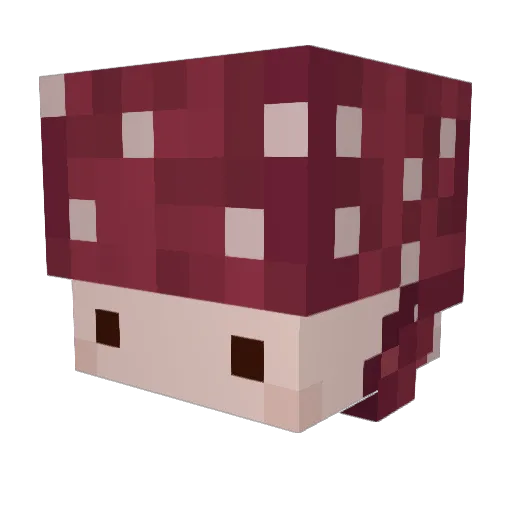 Barriecat Minecraft avatar head, 3D render