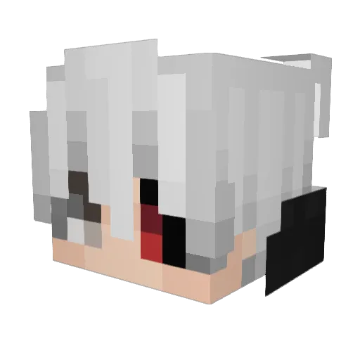 Barry0610 Minecraft avatar head, 3D render