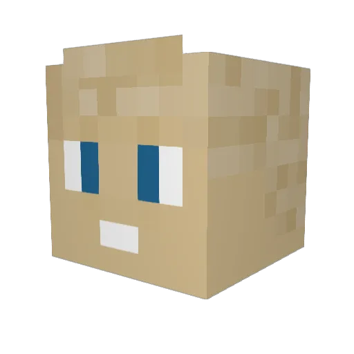 BarryBakvis Minecraft avatar head, 3D render