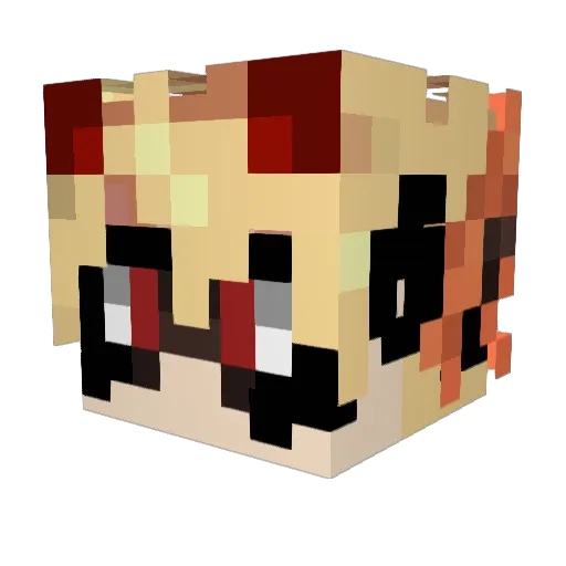BarryEin Minecraft avatar head, 3D render