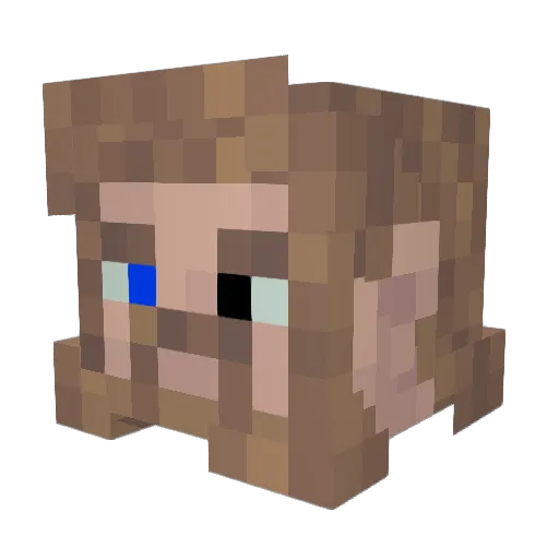 Barry_Bobert Minecraft avatar head, 3D render