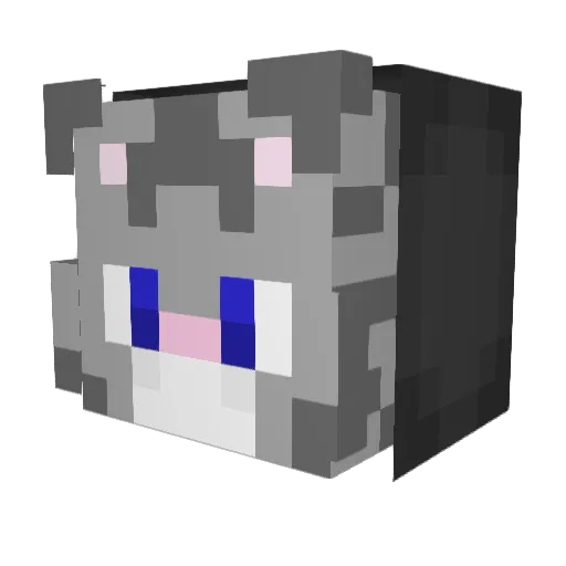Bars1k_YT Minecraft avatar head, 3D render