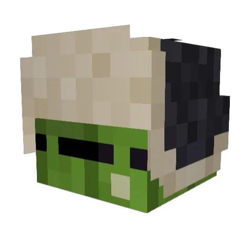 Bars_Mars_ Minecraft avatar head, 3D render