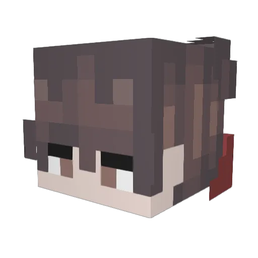 Barsa13_ Minecraft avatar head, 3D render