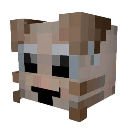Barsik2030 Minecraft avatar head, 3D render