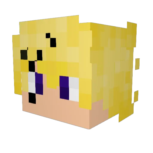 BartDeGraaf Minecraft avatar head, 3D render