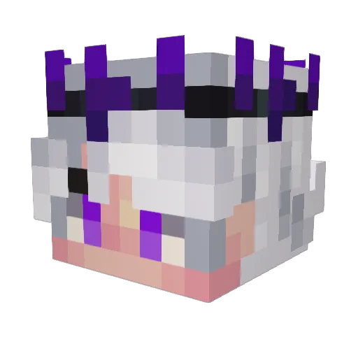 Bart_5505 Minecraft avatar head, 3D render