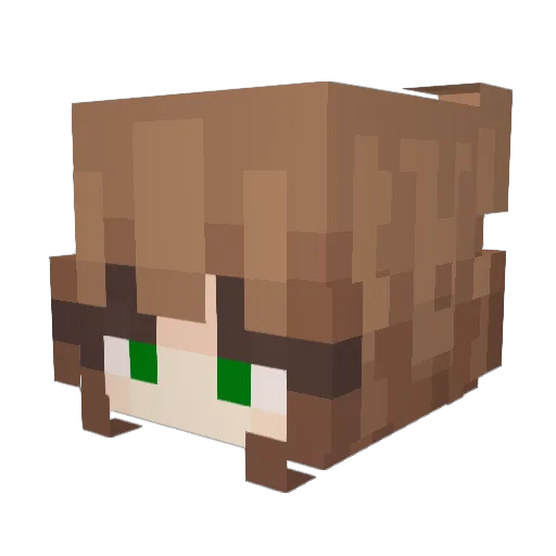 Bartaka Minecraft avatar head, 3D render