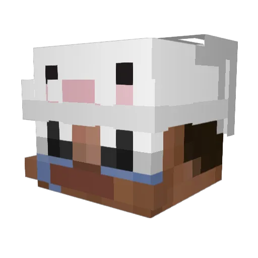 Bartek2115 Minecraft avatar head, 3D render