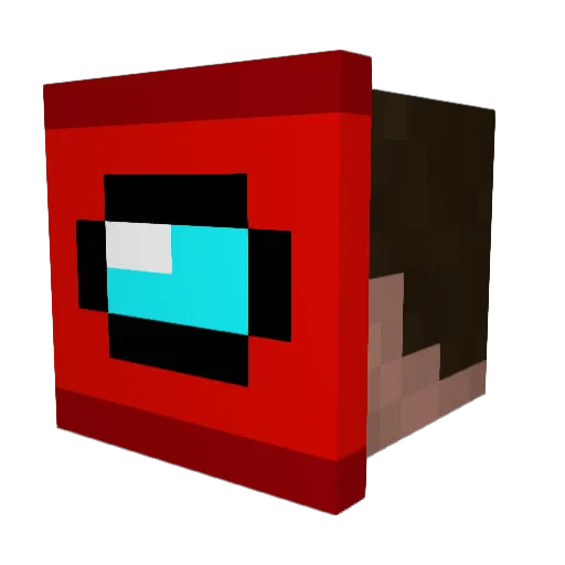 Bartek2455 Minecraft avatar head, 3D render