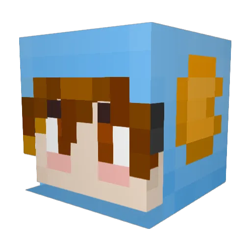 Bartek314 Minecraft avatar head, 3D render