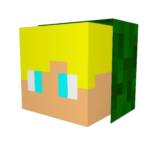 BartekSGP Minecraft avatar head, 3D render