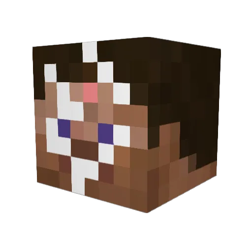 Bartek_Foglett Minecraft avatar head, 3D render