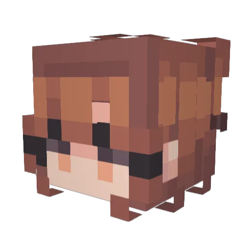 Bartelomeo2001 Minecraft avatar head, 3D render