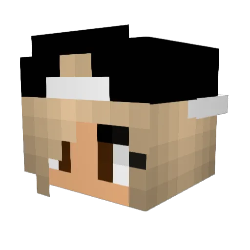 Bartelsweg Minecraft avatar head, 3D render