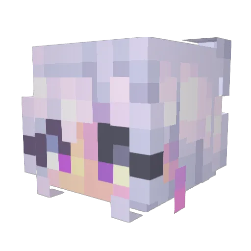 BartenderKitty Minecraft avatar head, 3D render