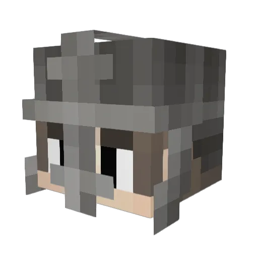 BartixxWasTaken Minecraft avatar head, 3D render