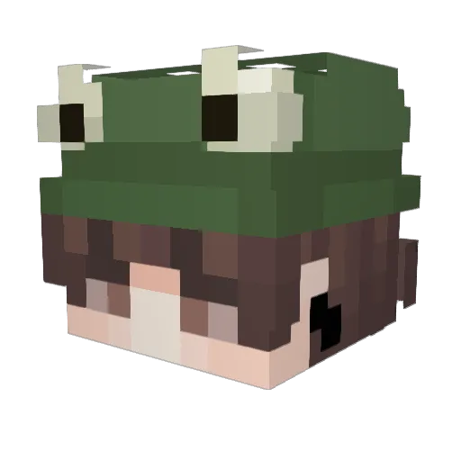 Bartje_13 Minecraft avatar head, 3D render