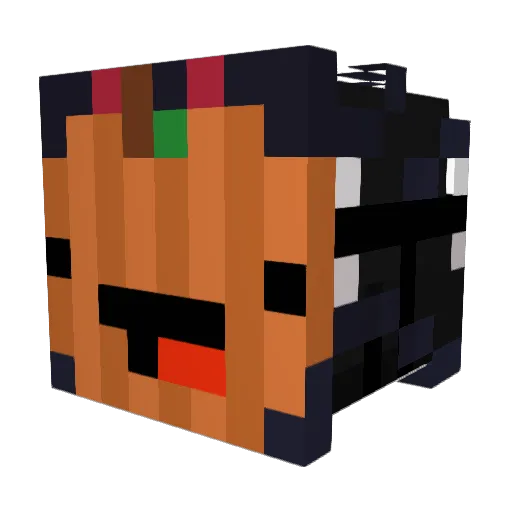 Bartlomien Minecraft avatar head, 3D render