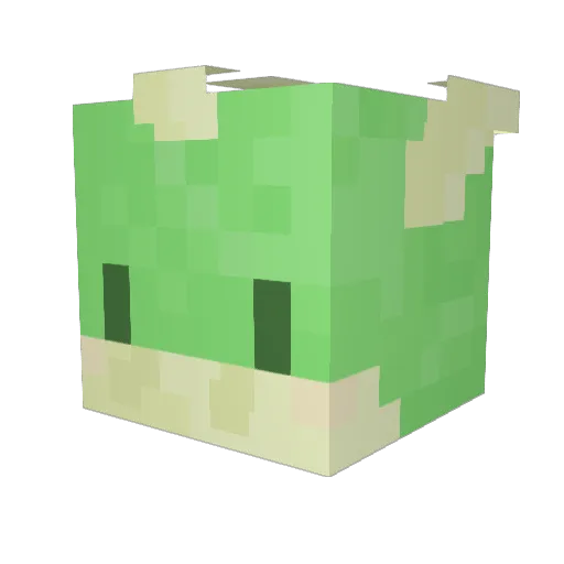 Bartman868 Minecraft avatar head, 3D render