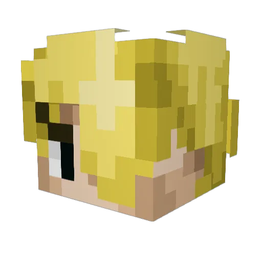 Bartolomeosch Minecraft avatar head, 3D render