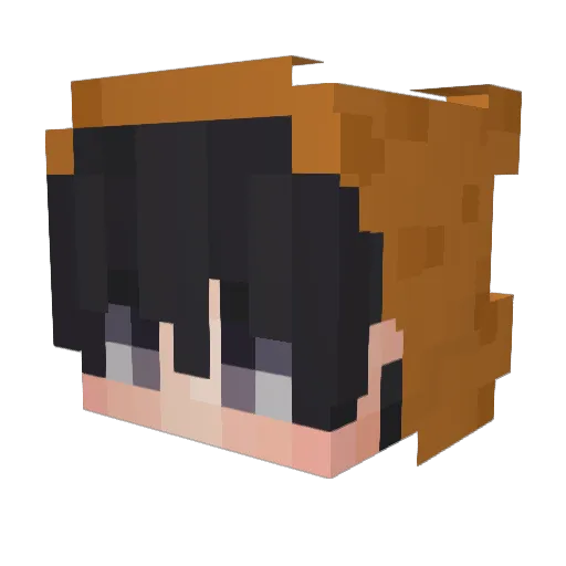 Bartosz1205 Minecraft avatar head, 3D render