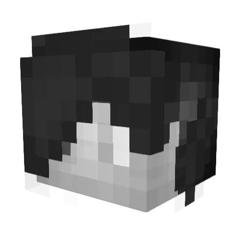 Bartosz667 Minecraft avatar head, 3D render