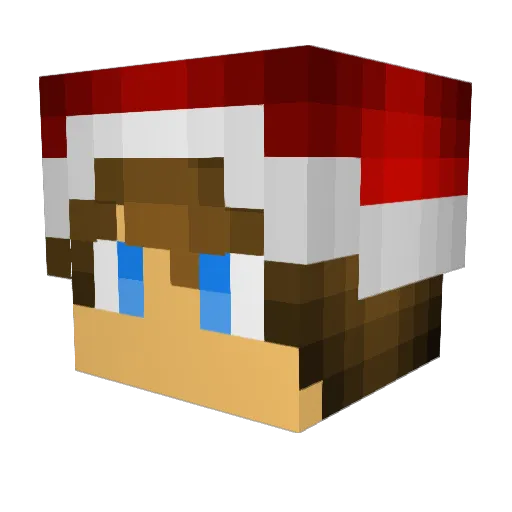 Bartus1910 Minecraft avatar head, 3D render