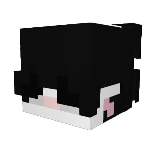 Bartusxz Minecraft avatar head, 3D render