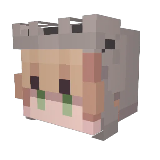 Baruch5 Minecraft avatar head, 3D render