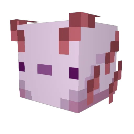 BarunaX Minecraft avatar head, 3D render