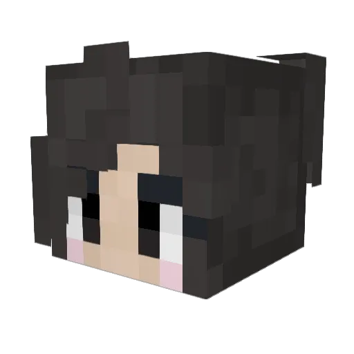BarveNn Minecraft avatar head, 3D render