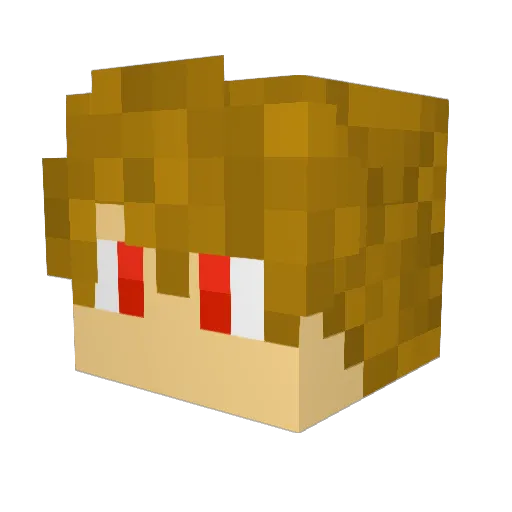 Barvid20 Minecraft avatar head, 3D render