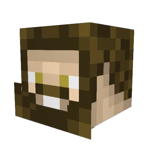 Baryonyx1683 Minecraft avatar head, 3D render