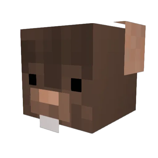 Barzeck Minecraft avatar head, 3D render